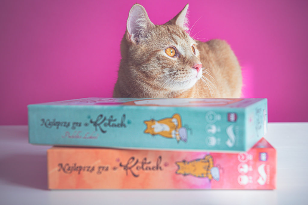 Najlepsza gra o kotach oraz dodatek Pudełko Łakoci.